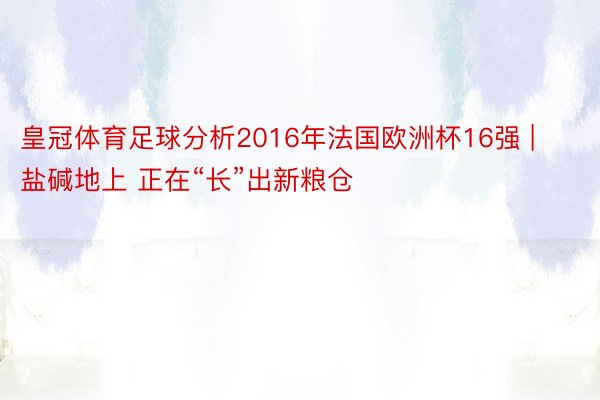 皇冠体育足球分析2016年法国欧洲杯16强 |  盐碱地上 正在“长”出新粮仓