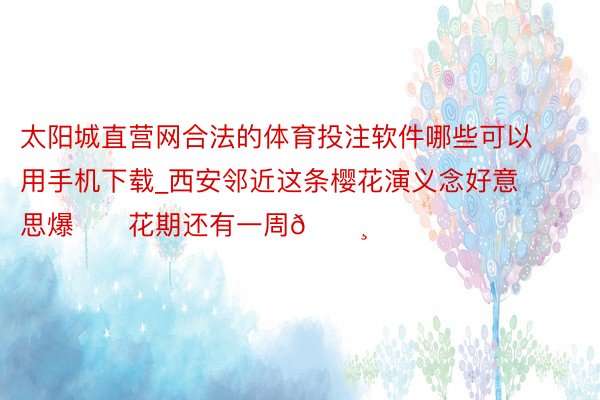 太阳城直营网合法的体育投注软件哪些可以用手机下载_西安邻近这条樱花演义念好意思爆❗️花期还有一周🌸