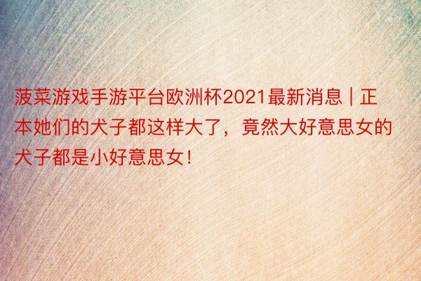 菠菜游戏手游平台欧洲杯2021最新消息 | 正本她们的犬子都这样大了，竟然大好意