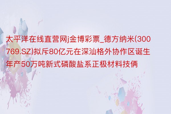 太平洋在线直营网j金博彩票_德方纳米(300769.SZ)拟斥80亿元在深汕格外